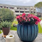Appartement Aloha - Pool, Parking, Near Sirmione Desenzano del Garda